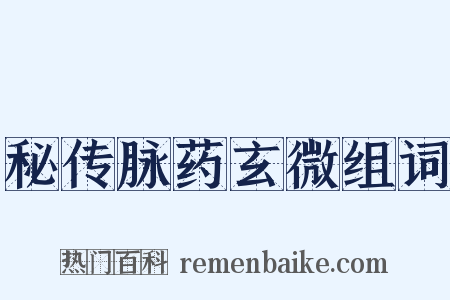 秘传脉药玄微组词是什么意思的图片